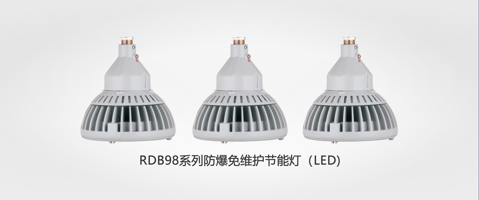 RDB98系列(lie)防爆免維護節能燈(deng)（LED)