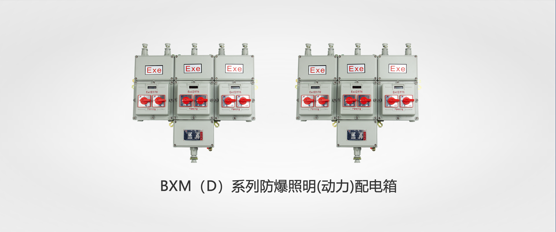BXM（D）系列防爆照(zhao)明(動力(li))配(pei)電箱