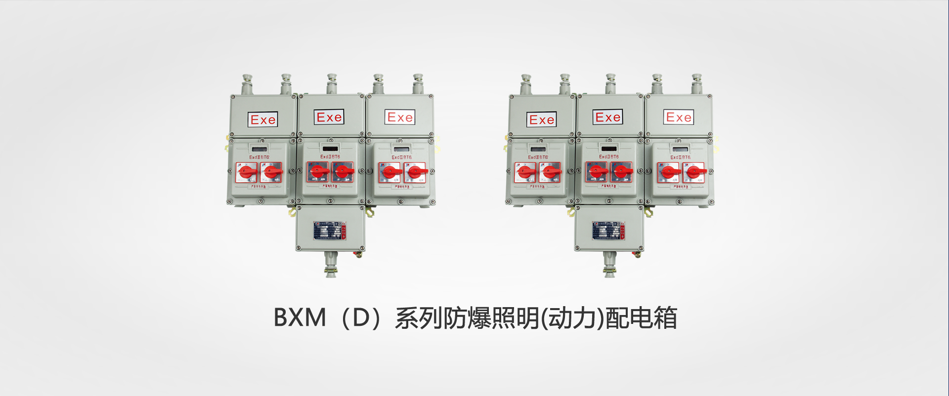 BXM（D）系列防爆照明(动力)配电箱